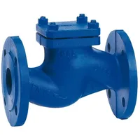 KSB Flanschen-Rückschlagventil BOA-R DN 32 PN16