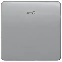 Siemens 5TG7928 DELTA profil Wippe mit Symbol Türöffner, silber