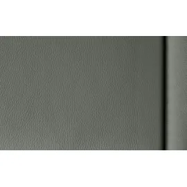HIMOLLA Eckcouch Leder 275 cm 2-Sitzer Grau