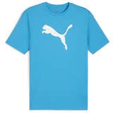Puma Puma, Herren, Sportshirt, teamRISE Logo Jersey Cotton (XL), Blau, XL