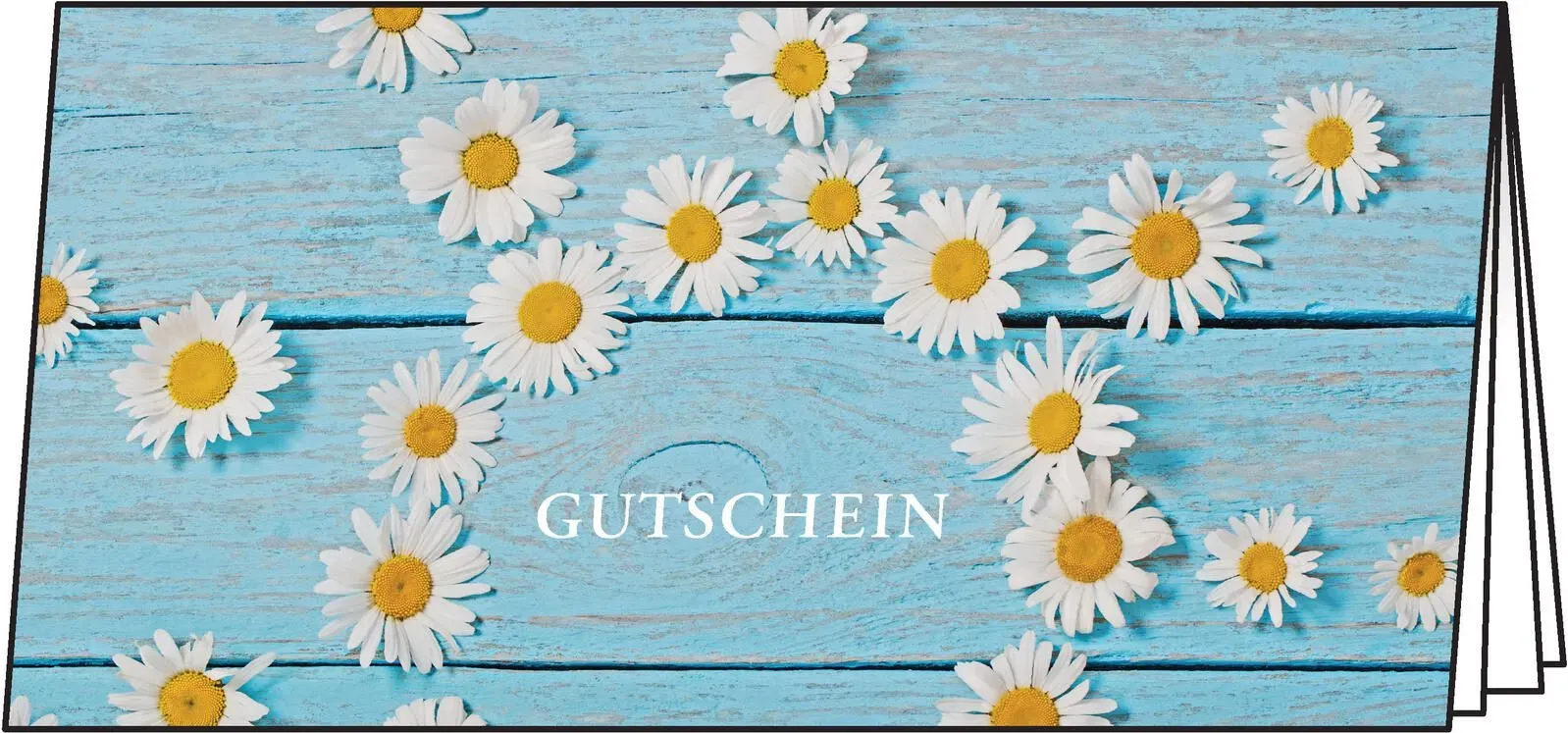 SIGEL Gutscheine DS102 DIN lang