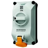 Mennekes Wandsteckdose DUOi 5611304G