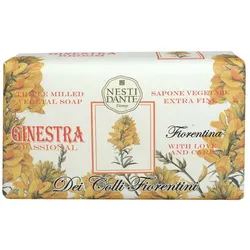 Nesti Dante Broom/Ginster