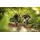 Focus Thron2 6.9 Performance Line CX 750Wh - M
