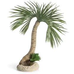 biOrb Palme Seychellen L (72680)