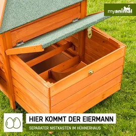 My Animal MyAnimal Hühnerstall für 3 Hühner MH-19 mit Auslauf, Hühnerhaus wetterfest imprägniert, Nistkasten (Braun 2.0)