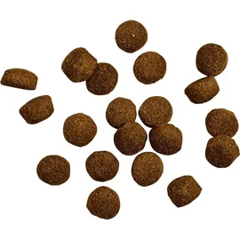 Belcando Baseline Ranger - 12,5kg