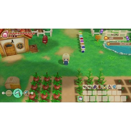 STORY OF SEASONS: Friends of Mineral Town Standard Nintendo Switch