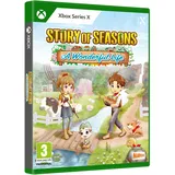 Story of Seasons: A Wonderful Life