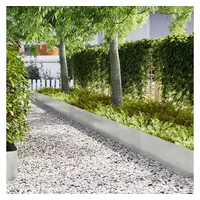 vidaXL Raseneinfassung 100 x 5 cm 30 Stück Silber