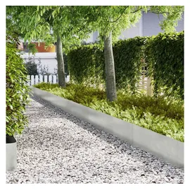 vidaXL Raseneinfassung 100 x 5 cm 30 Stück Silber