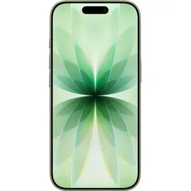 Apple iPhone 17 512 GB Salbei