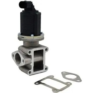 Magneti Marelli AGR-Ventil