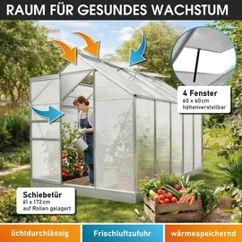 Brast Gewächshaus Aluminium Silber HKP 6 mm 5,89 m2