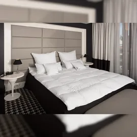 Mayaadi-Home HS24 Decke 135x200 cm 1600 Gramm Daunendecke Bettdecke 70% Daunen 30% Federn Mayaadi Home