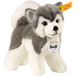 Steiff Kuscheltier Bernie Husky 17cm, grau