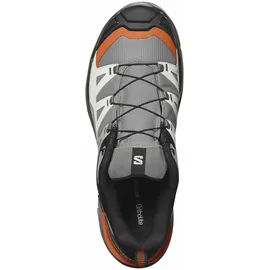 Salomon X Ultra 360 GTX Herren Quiet Shade / Black / Spice Route 44 2/3