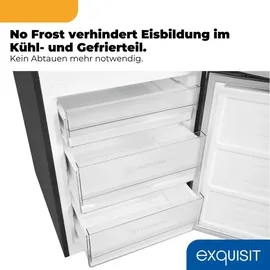 Exquisit KGC5400-130-NF-040D Kühl-Gefrierkombination (400 l, 1860 mm hoch, Inoxlook)