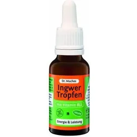 Dr. Muche GmbH Ingwertropfen+vitamin B12 Dr. Muches