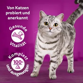 Whiskas Tasty Mix Multipack Country Collection in Sauce 24 x 85 g