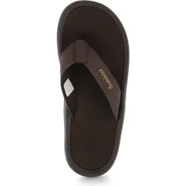 Gumbies Noosa Braun 41