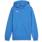 Puma teamGOAL Casuals Hoody Jr