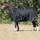 HKM Regendecke Innsbruck HighNeck 1200D mit Polarfleece 0g 150 cm Schwarz