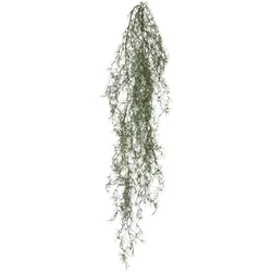Creativ green Kunstranke »Tillandsia«, mit filigranen Ranken Creativ green grau-grün