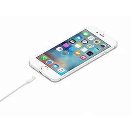 Apple USB-A auf Lightning 1 m Weiß
