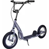 Apollo Retro Scooter Paradise - Roller mit Luftreifen 12,5 Zoll | Grau - Grau