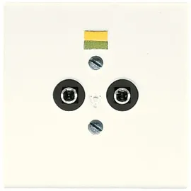 Jung LS965-2 Potentialausgleich-Steckdose