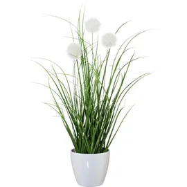 OTTO home Kunstgras OTTO HOME "Grasbusch, naturgetreue Kunstpflanze, 35cm hoch", grün (grün, weiß), H:35cm Ø:7,5cm, Kunststoff, Kunstpflanzen, im 3 teiligen Set, mit Übertopf wahlweise in schwarz oder weiß