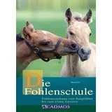 Cadmos Verlag GmbH Die Fohlenschule