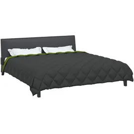 vidaXL Winterbettdecke Grün und Anthrazit 200 cm Mikrofaser