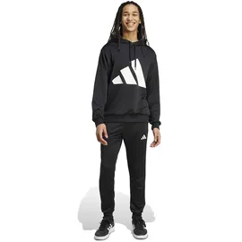 adidas Big Logo French Terry Trainingsanzug Black/White XS