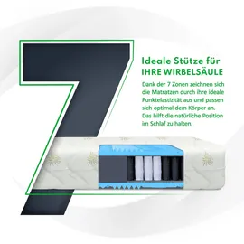 Fdm 7-Zonen Taschenfederkern 160 x 200 cm H3