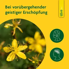 Schoenenberger Schoenenberger