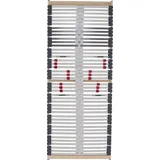 Lattenrost Comfort Plus 100x200