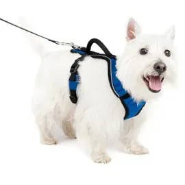 PetSafe EasySport Hundegeschirr Blau