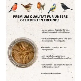dehner natura premium Erdnussbutter mit Mehlwürmern 8 x 340 g