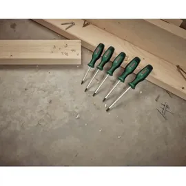 Bosch Torx-Schraubendreher Set 5-tlg. TX10