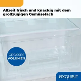 Exquisit KS516-4-E-051C Kühlschrank (107 l, 0 mm hoch, Weiß)