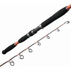 Pilkrute Jig CLASSIC 5,5 170 CM