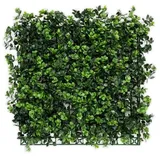 Karat Pflanzenwand Pachysandra Kunstpflanzen zur Wandmontage 50 x 50 cm