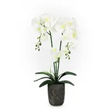 GreenBrokers Künstliche Orchidee im Topf, 70 cm, Weiß