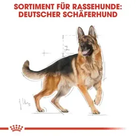 Royal Canin Deutscher Schäferhund 11 kg