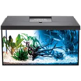 AquaEl Aquarium-Set Leddy Day & Night 60 Schwarz 2.0