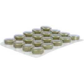 New Nordic Deutschland GmbH Zucar Zuccarin Tabletten