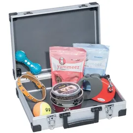 Allit AluPlus Basic L 35 Universal Werkzeugkoffer unbestückt silber 345 x 285 x 105 mm