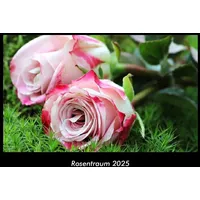 Vero Kalender Rosentraum 2025 Fotokalender DIN A3